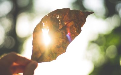 Dlaczego przestałam walczyć z chandrą i jesienną depresją